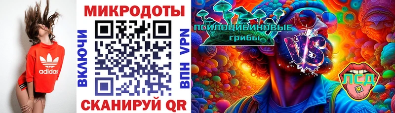 Псилоцибиновые грибы Cubensis  купить наркотик  Кукмор 